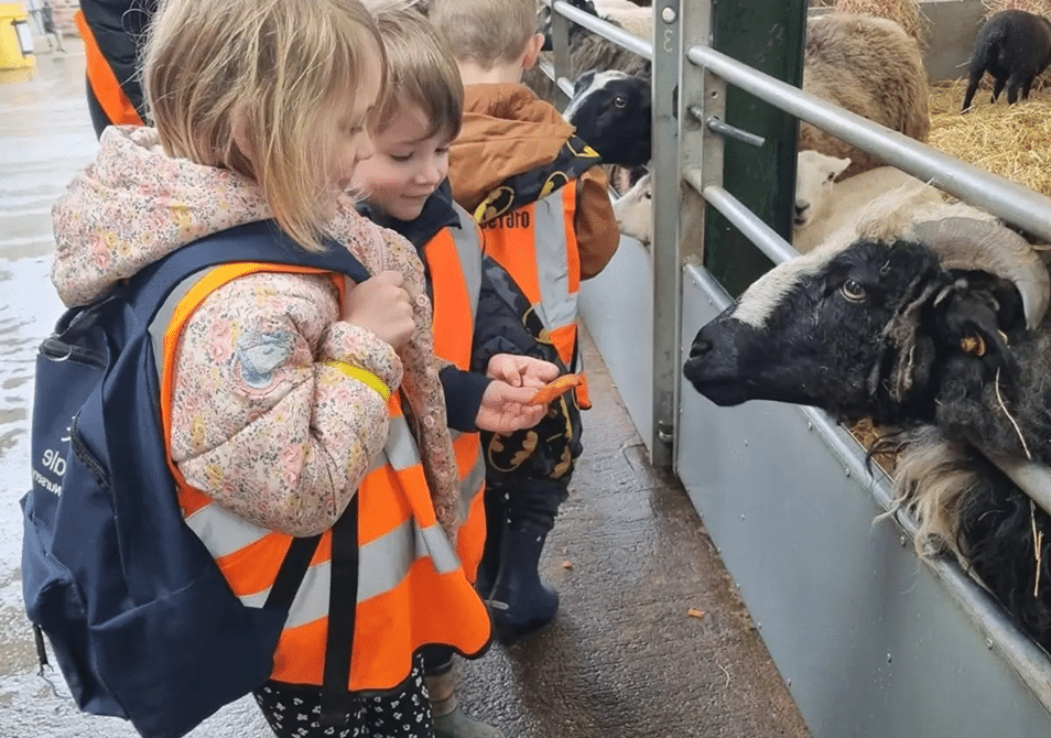 Farm children goat