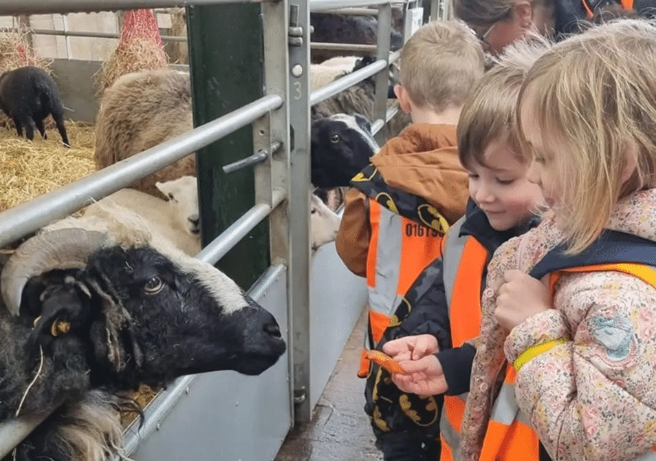 farm-children-feeding-goat