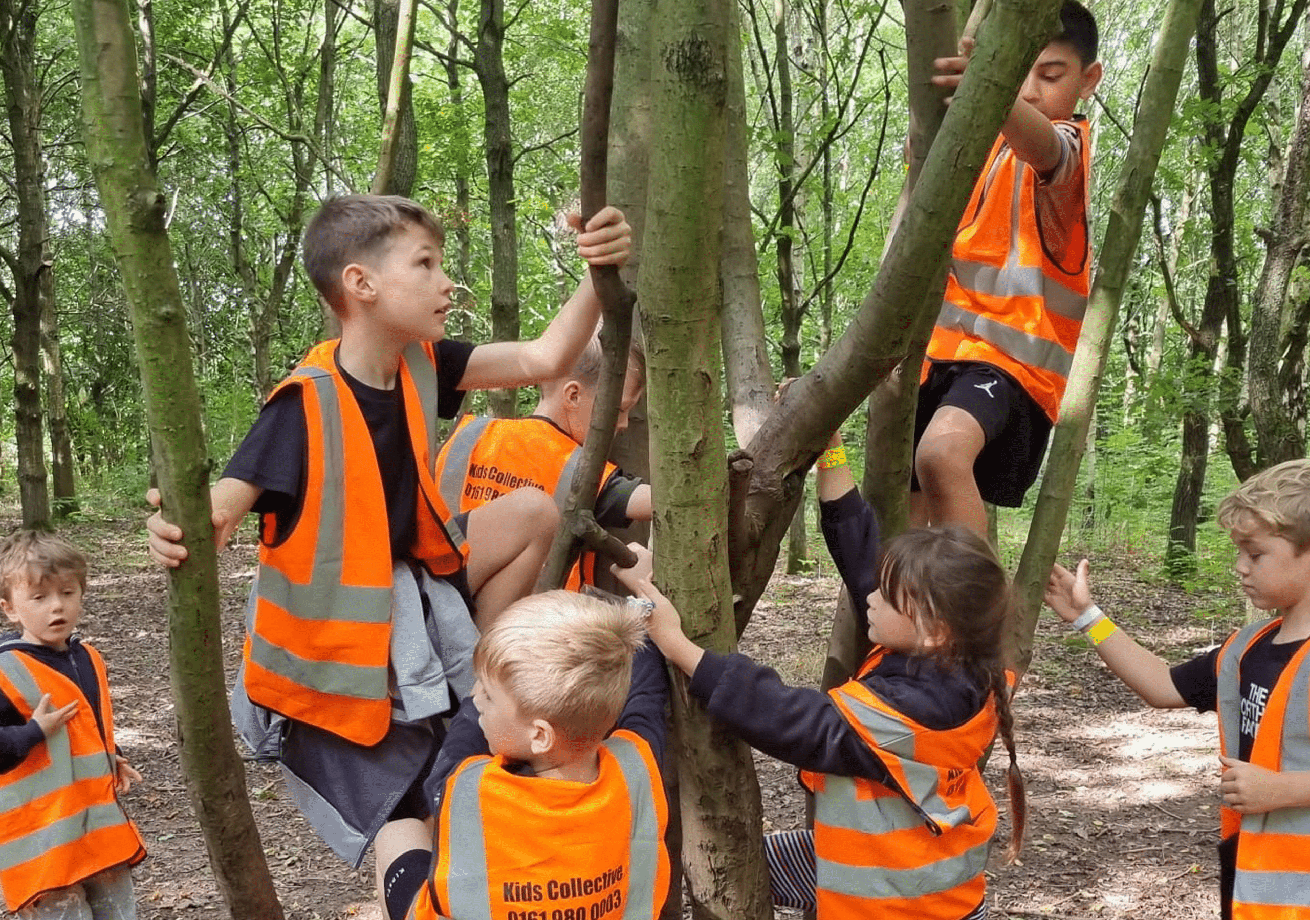 kids-climbing-trees-in-woods